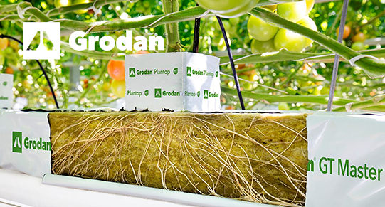 Grodan-541x291