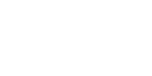 Logo-Aiden