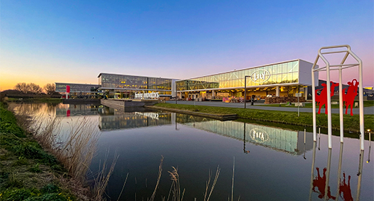 Thumb-LelyInternational